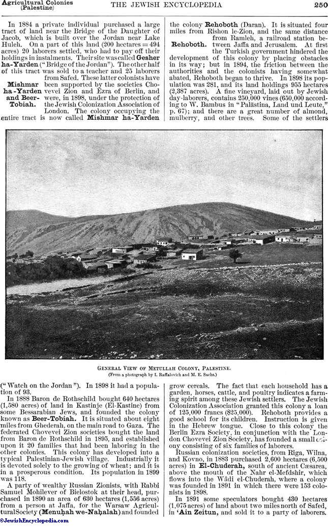 AGRICULTURAL COLONIES IN PALESTINE - JewishEncyclopedia.com